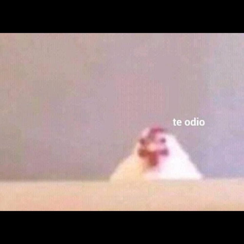 Meet your Posher, Graciela